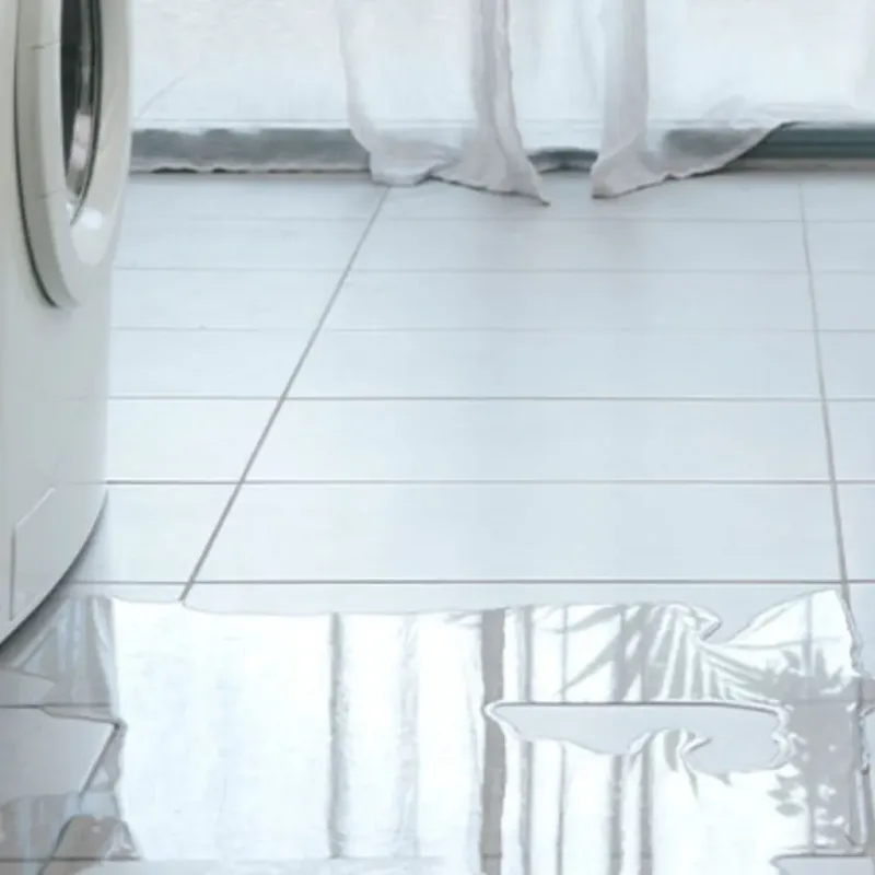 Appliance Leak Cleanup in Lakeland, GA